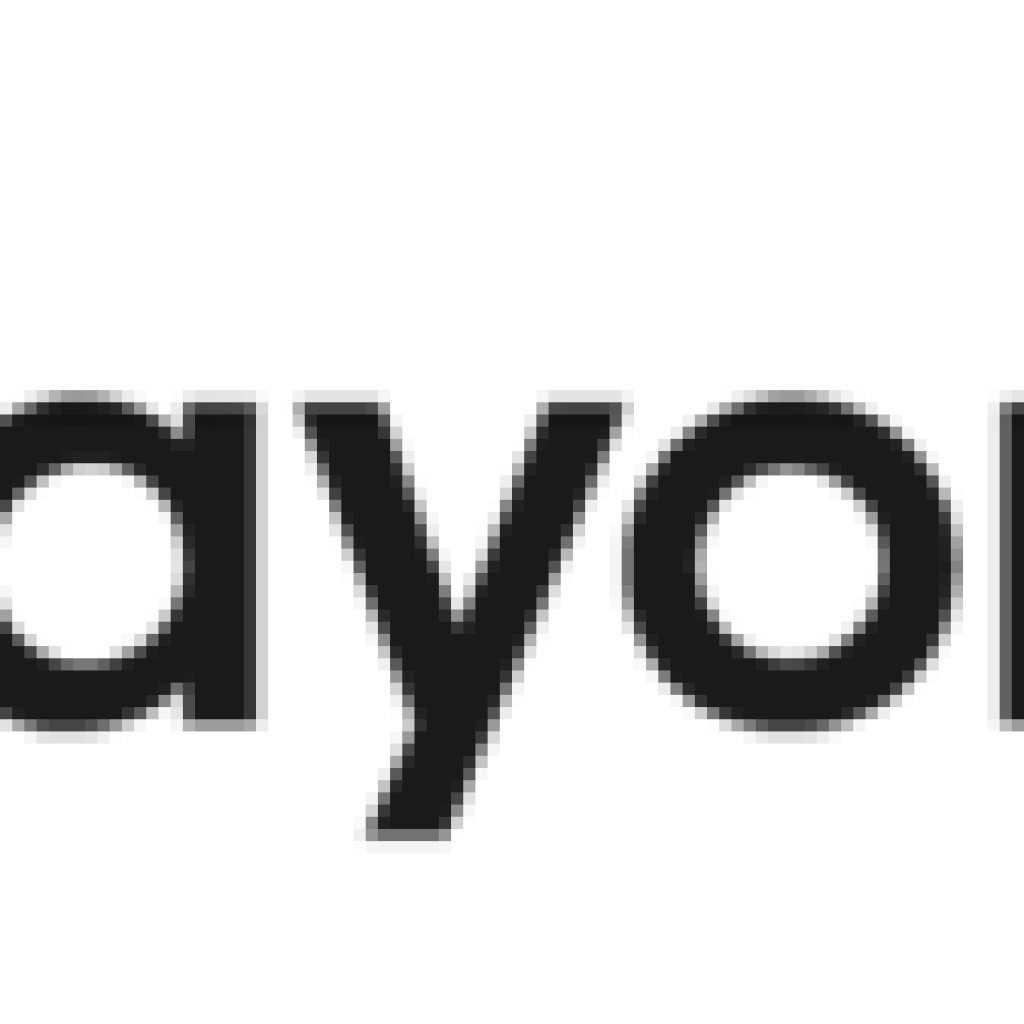 payoneer logo png